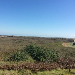 Gulf view from our unit. 