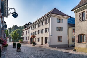 Zollhaus, (Endingen am Kaiserstuhl), LHS 05961
