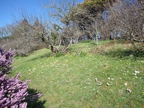 Garden | Little Foxes, Perranporth