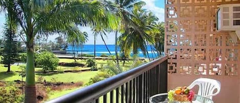 Lanai View