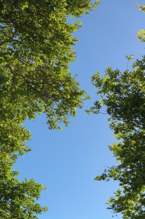 Fall asleep to the gaze out to infinite sky views