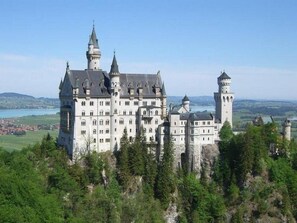 das berühmte Schloss Neuschwanstein
(nur ca. 12 km von uns entfernt)