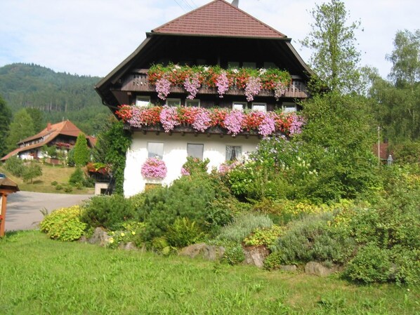 Exteriör