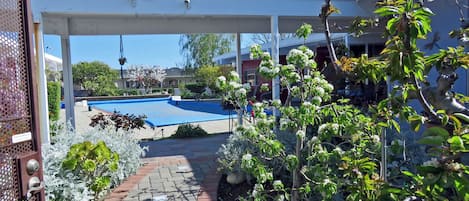 pool in courtyard
