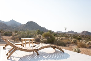 Our expansive deck is perfect for yoga, animal watching and drinking rose 