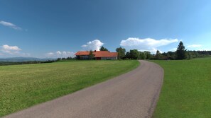 Sekalaista