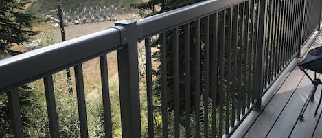 Narrow deck overlooking Silver Wood Chair runs along back of home.