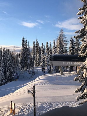 Sne- og skisport
