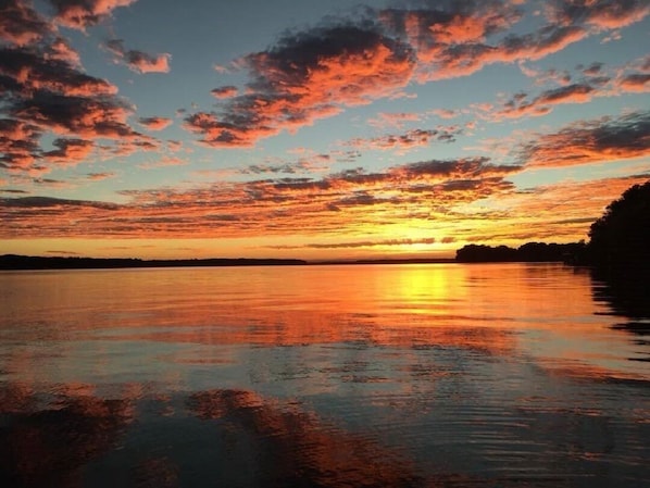 Observe wildlife while enjoying beautiful sunsets on the Tennessee River.