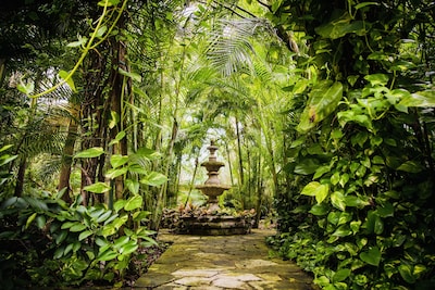 VILLA HACIENDA XCARET 