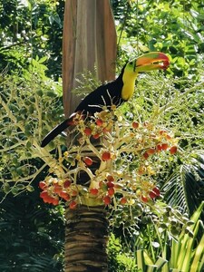 VILLA HACIENDA XCARET 