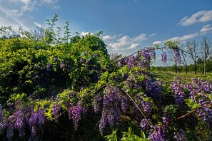 Overnatningsstedets område