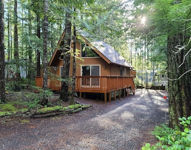 Cabin front and driveway