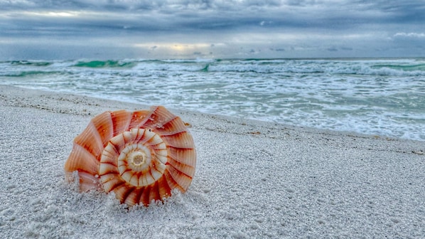 Photo of Navarre Beach.   Taken by our guest and photographer Tim Thurman.