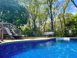 Lounge by the in ground, Oxygen Pool, entertain, swim