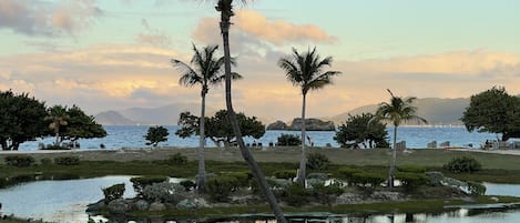 View from the front of the condo 