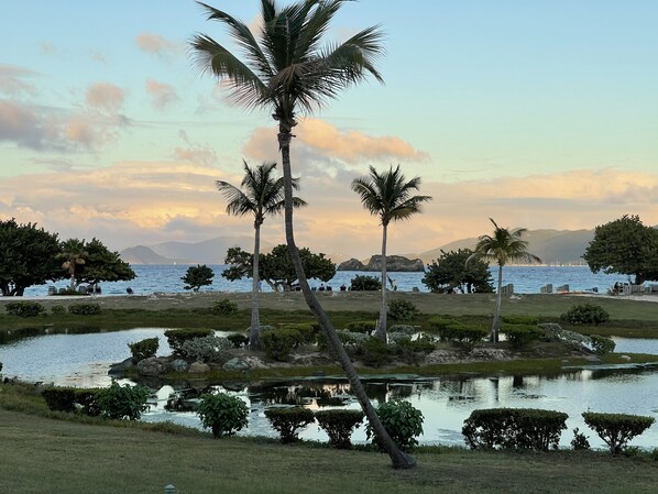 View from the front of the condo 