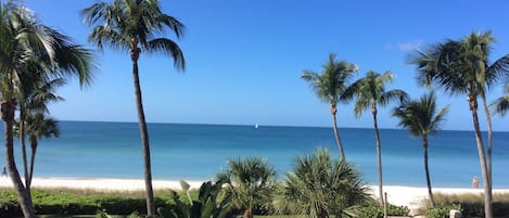 Vue sur la plage ou l’océan