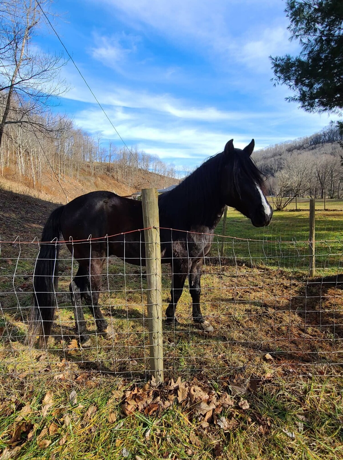 Rumples Retreat at Highland Hideaways – Arcade – Private Drive-in Theater