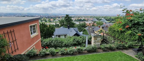 Blick auf das Ferienhaus und über Dresden