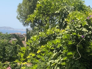 Une des vues de la terrasse .
