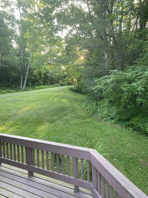 Backyard in summer