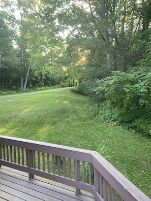 Backyard in summer
