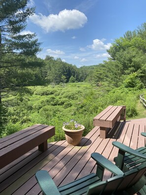 Summer view from deck