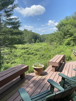 Summer view from deck