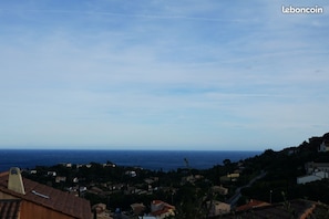 Beach/ocean view