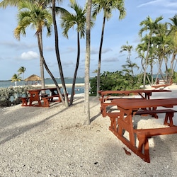 picnic area