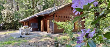 Außenseite Ferienhaus [Sommer]