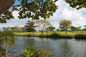 Beautiful surroundings!