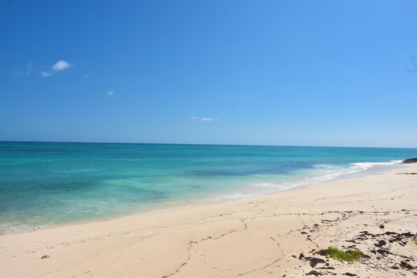 Beach Out Front of House