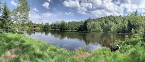 Overnatningsstedets område