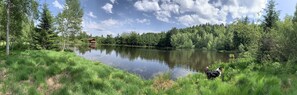 Boendeområde