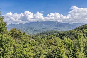 Breathtaking Smoky Mountain panorama from your secluded chalet.