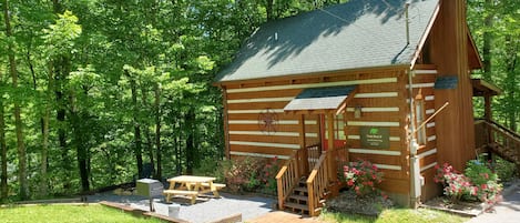 Twin Bear II, a cozy cabin in the woods, with a private picnic area!