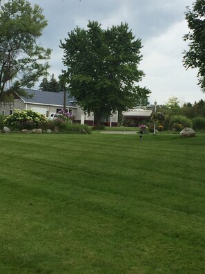 Lush lawn