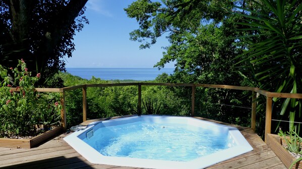 Outdoor spa tub