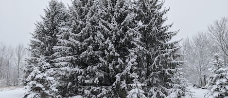 Skidåkning och snöaktiviteter