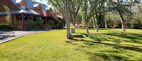 Huge lawn area in front of home