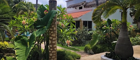 The VIlla is Nestled In the Center of Our Gardens Right Next to the Pool