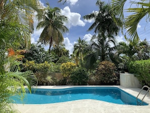 Very private pool deck on all sides surrounded by mature gardens