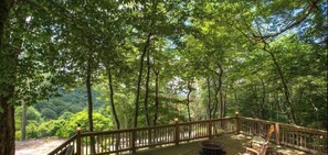 Upper Deck Overlooking Woods and View