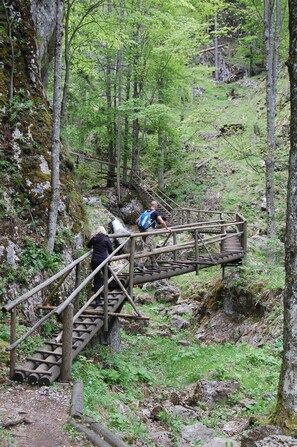 Sevärdhet