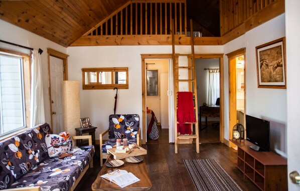 Starsview Cottage Main Room (1)