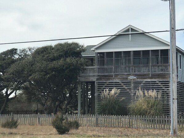 Main Image