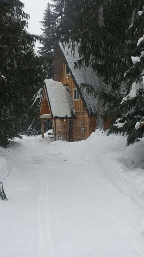 Daytime Winter outside the driveway