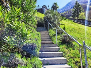 Green, Vegetation, Groundcover, Slope, Garden, Stairs, Handrail, Walkway, Botanical Garden, Trail